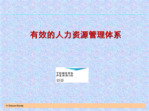 韬睿有效的人力资源体系.ppt