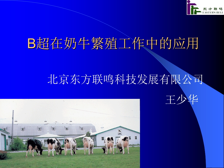 B超在奶牛繁殖工作中的应用.ppt_第1页