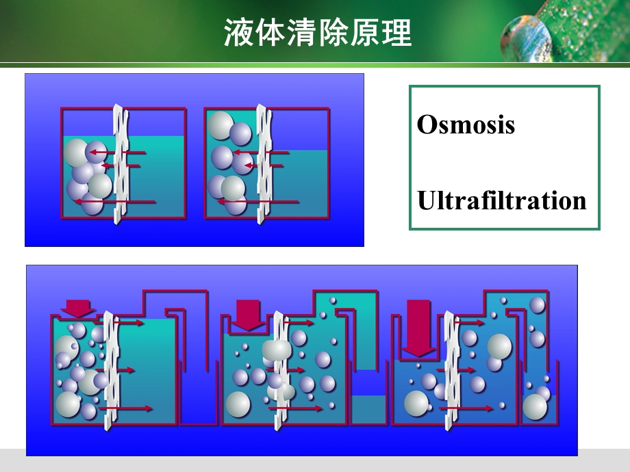 CRRT规范化治疗.ppt_第3页