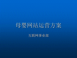 母婴行业网站运营方案.ppt