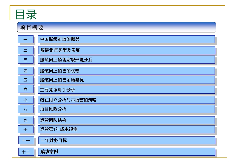 网上销售服装项目计划书.ppt_第2页