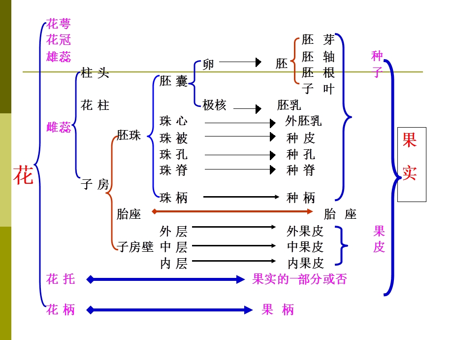 教学课件PPT果实采收.ppt_第3页