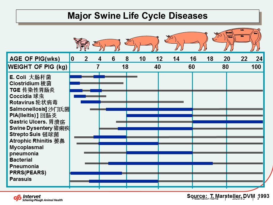 猪的肠道健康及其维护.ppt_第3页