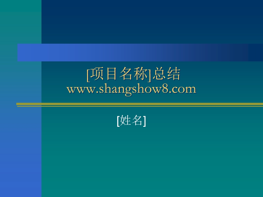 某公司项目总结报告.ppt_第1页