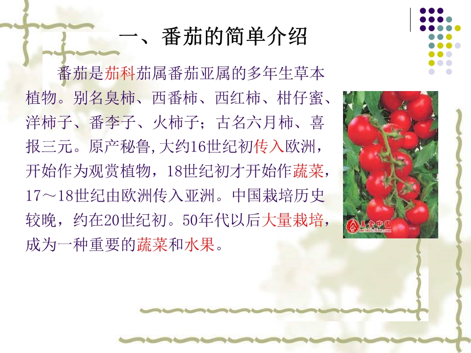 番茄的生产栽培技术.ppt.ppt_第3页