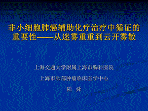 非小细胞肺癌辅助化疗治疗中循证的重要性从迷雾重重到云开雾散.ppt