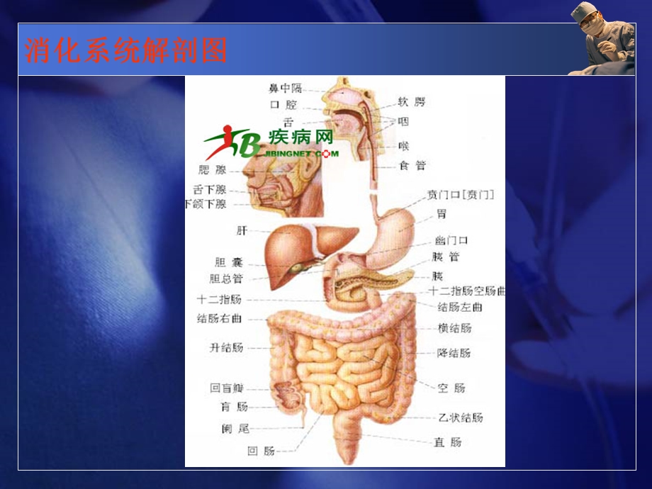 消化系统症状的护理.ppt_第3页