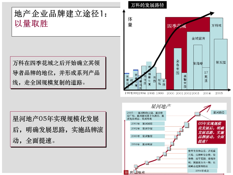 深圳坂雪岗房地产项目前期定位报告.ppt_第3页