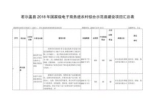 若尔盖县2018年国家级电子商务进农村综合示范县建设项目汇总表.docx