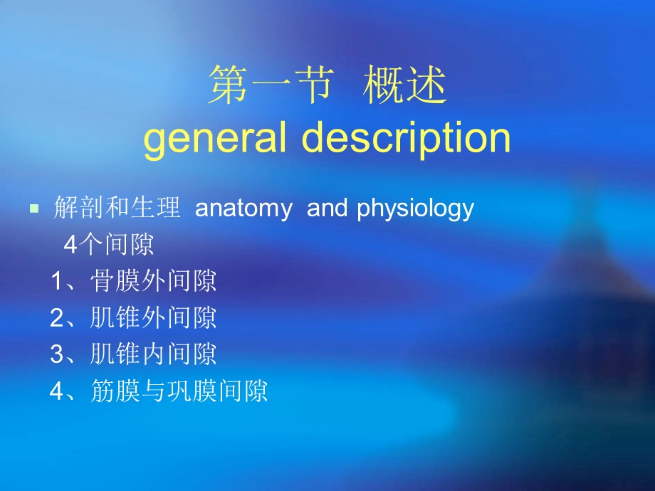 眼科学眼眶病精要.ppt_第2页