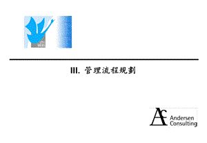 【管理咨询】安达信III.管理流程规划.ppt