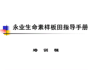 永业生命素样板田操作标准化手册.ppt