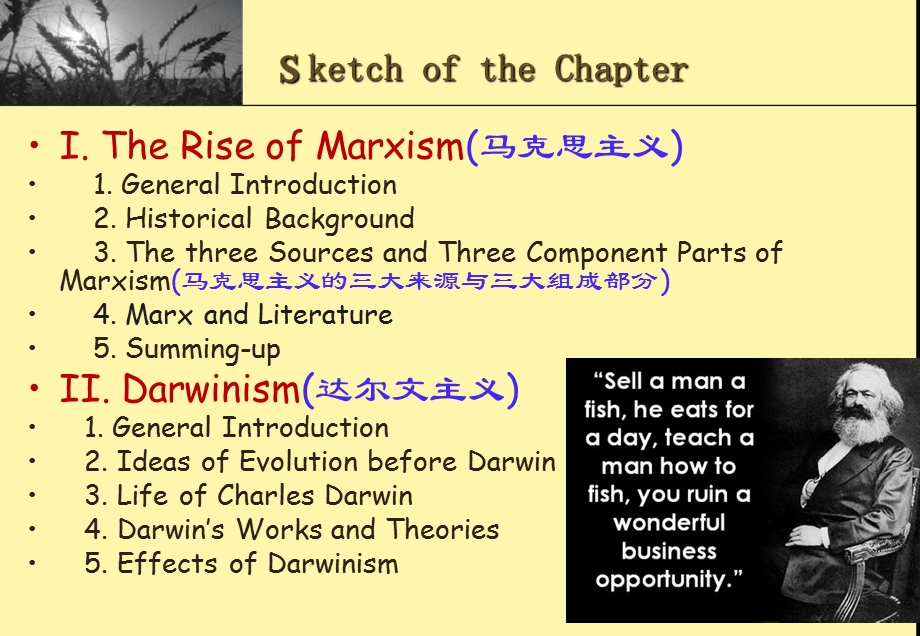 欧洲文化入门(Marxism & Darwinism).ppt_第2页