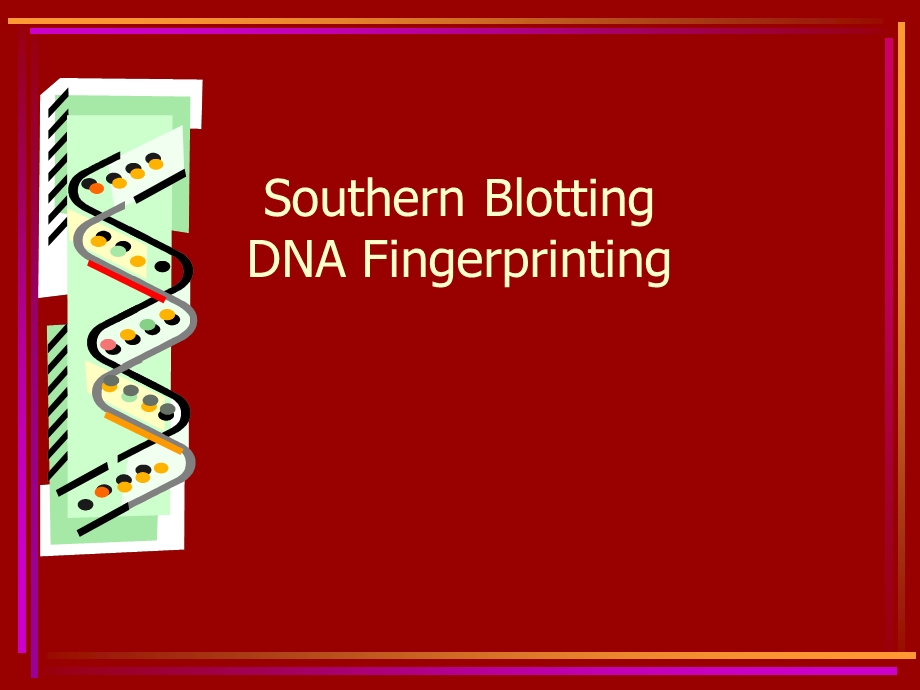 Southern Blotting DNA Fingerprinting.ppt_第1页