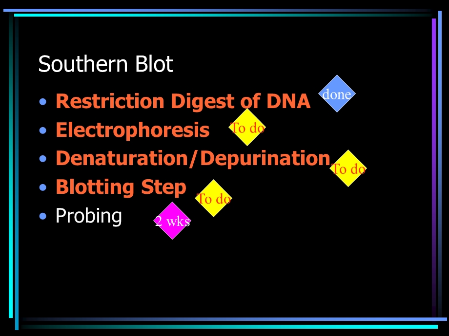 Southern Blotting DNA Fingerprinting.ppt_第3页