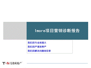 合肥Imore项目营销诊断报告113P.ppt