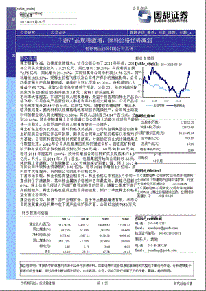 包钢稀土(600111)报点评：下游产品规模激增原料价格优势减弱0328.ppt