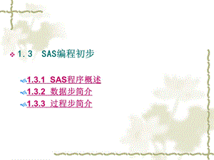 SAS基础编程初步教学PPT.ppt