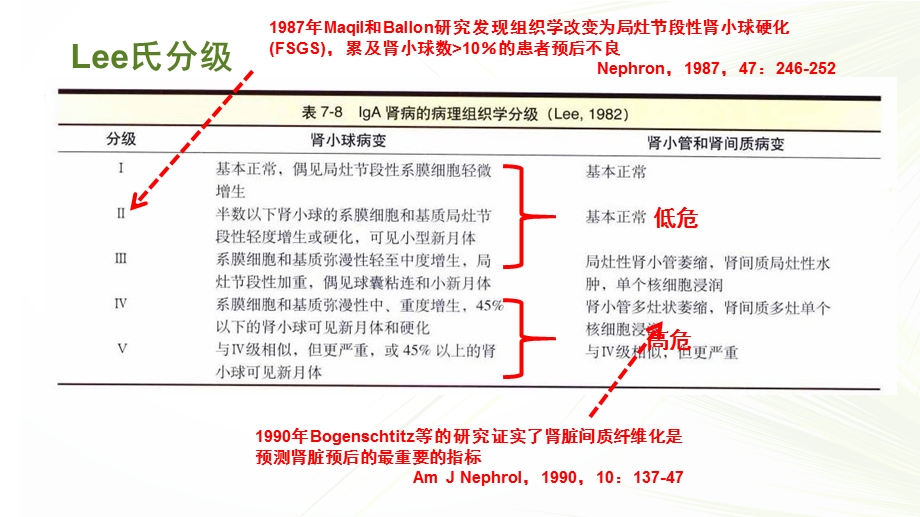 5455372626IgA肾病牛津分型.ppt_第3页