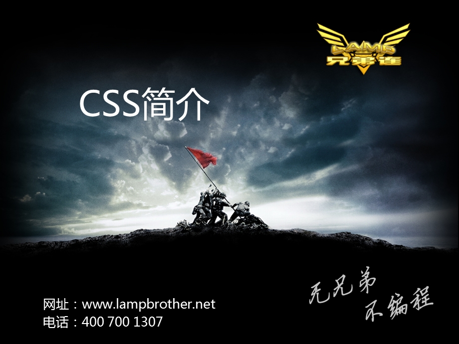 网站开发教程CSS简介.ppt_第1页