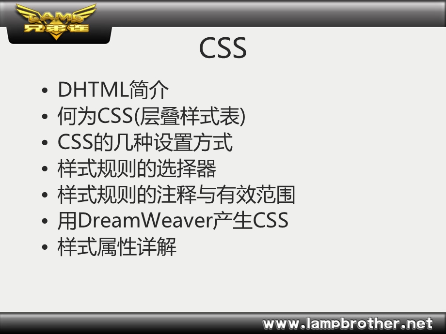 网站开发教程CSS简介.ppt_第2页