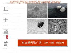 中原深圳东方新天地广场发展运营营销策略115PPT.ppt