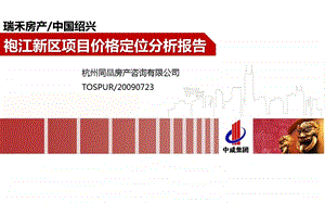 中国绍兴中成袍江新区项目价格定位分析报告.ppt