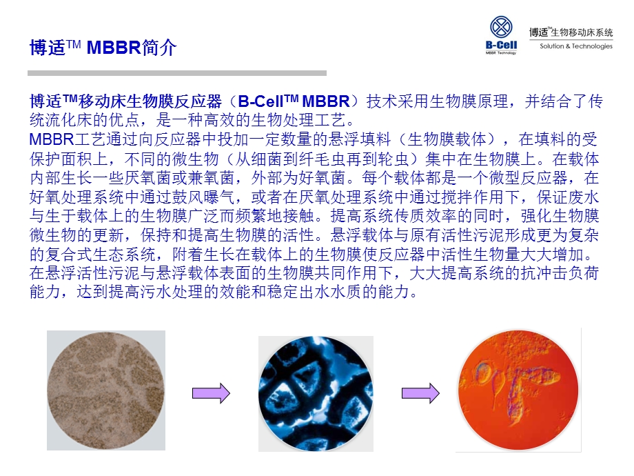 博适mbbr工艺技术.ppt_第2页