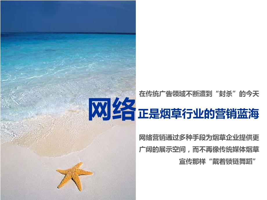 红塔烟草集团与新浪网络合作方案.ppt_第2页