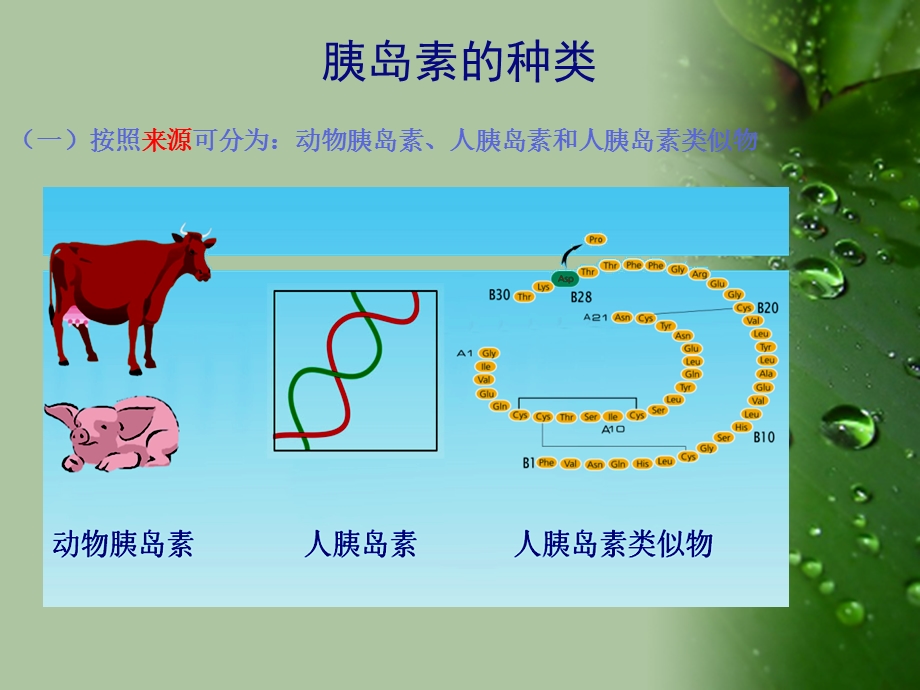 胰岛素注射笔的使用幻灯片.ppt_第2页