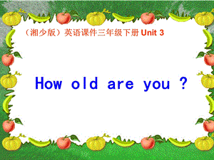 湘少版三级英语下册UNIT3 HOW OLD ARE YOU PPT课件.ppt