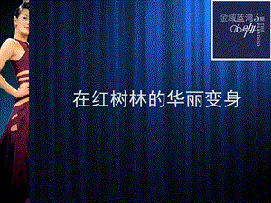 万科深圳市金域蓝湾3期红树林海VIP尊享认购活动推介会方案.ppt