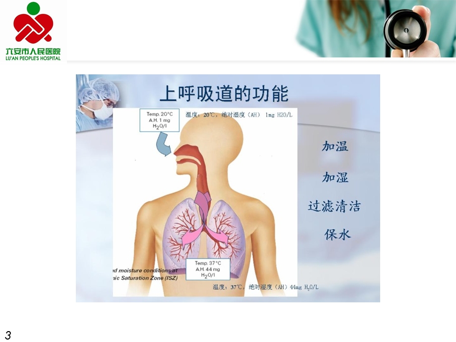 人工气道湿化及其护理方法研究进展杨梅..ppt_第3页