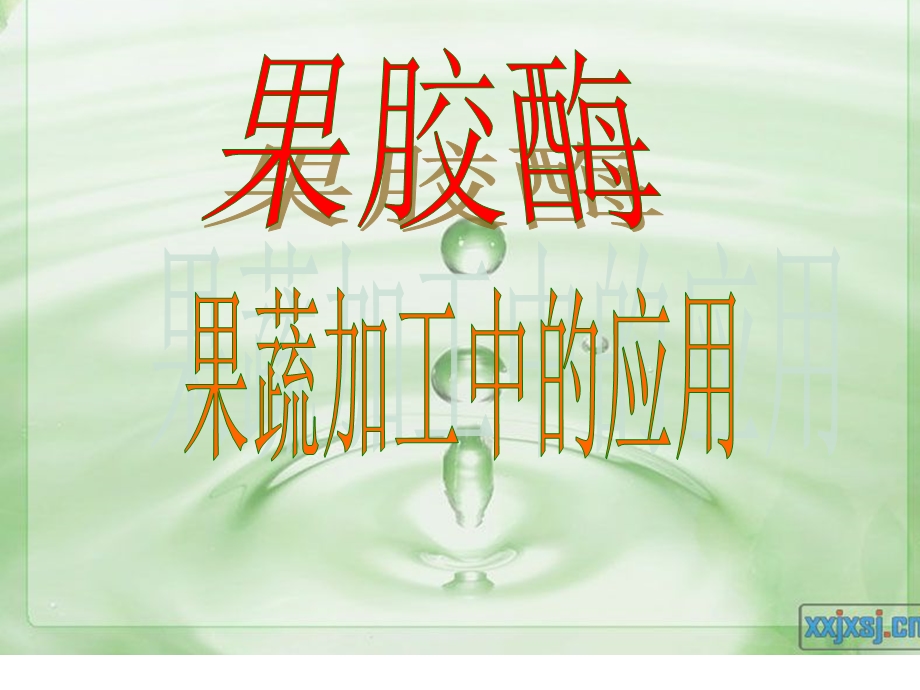 果胶酶在果蔬汁加工中应用 .ppt_第1页