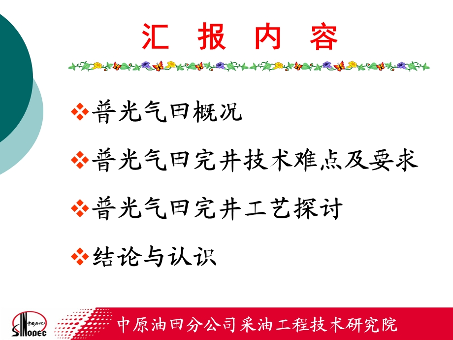 普光气田高含硫气井完井工艺技术探讨.ppt_第3页