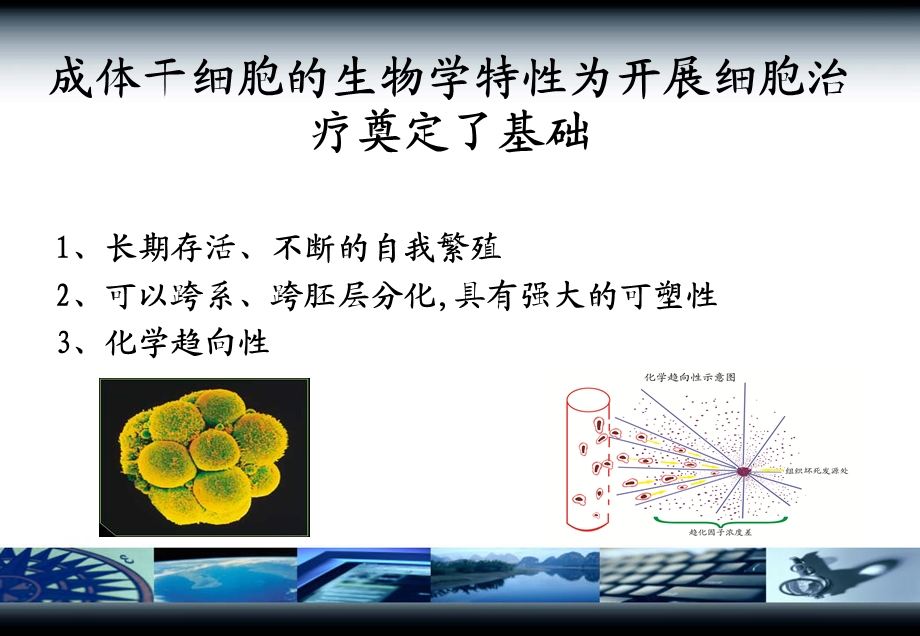 干细胞治疗重症肝炎肝硬化.ppt_第3页