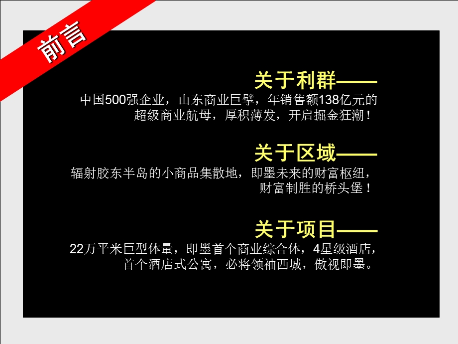 青岛市利群即墨项目营销推广报告.ppt_第2页