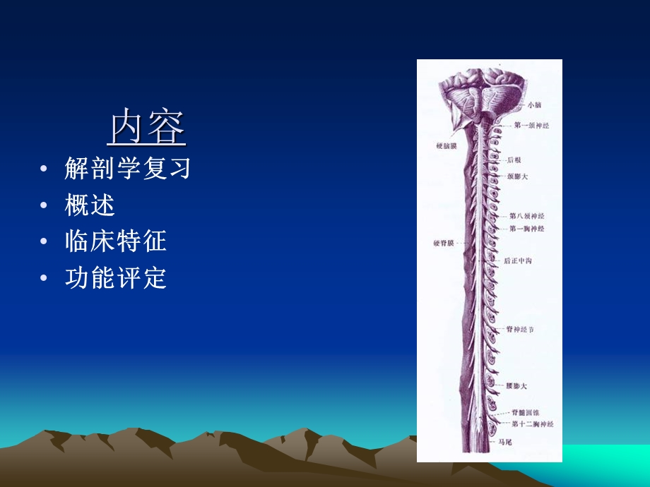 截瘫及四肢瘫评定.ppt_第2页