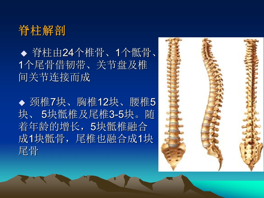 截瘫及四肢瘫评定.ppt_第3页