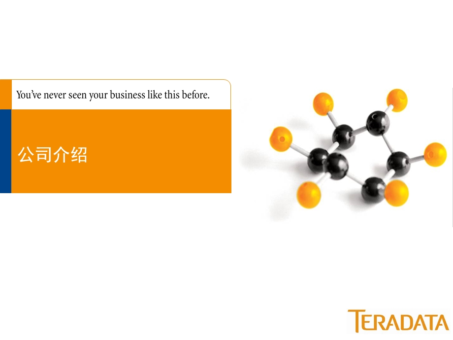 数据仓库(Teradata).ppt_第2页