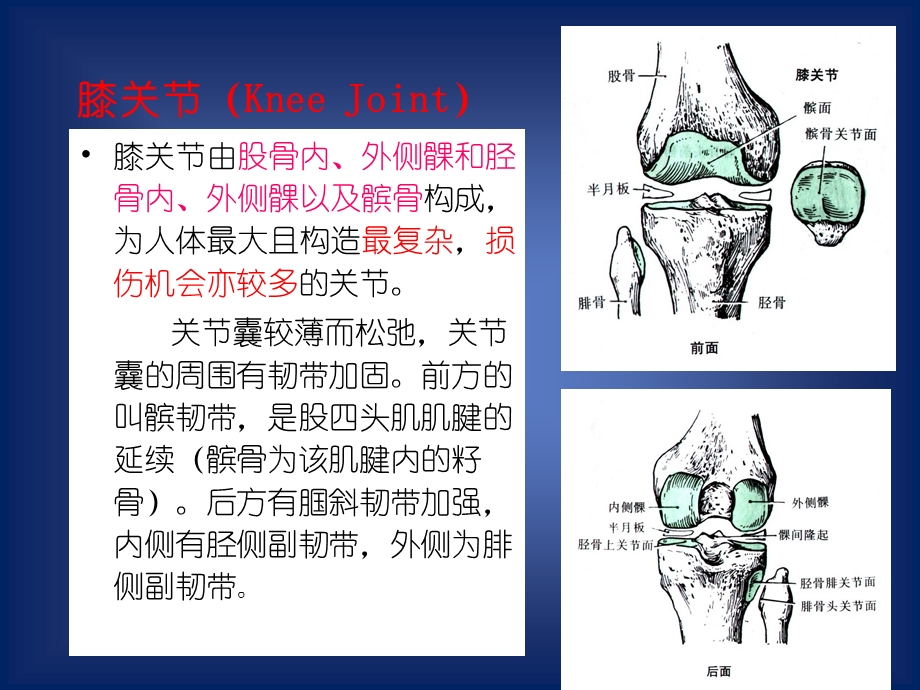 膝关节穿刺术.ppt_第3页