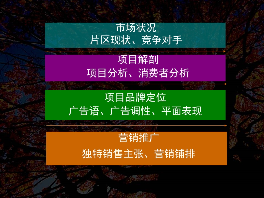 郑州建业枫林上院项目营销提案.ppt_第2页