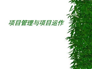 项目管理与项目运作.ppt