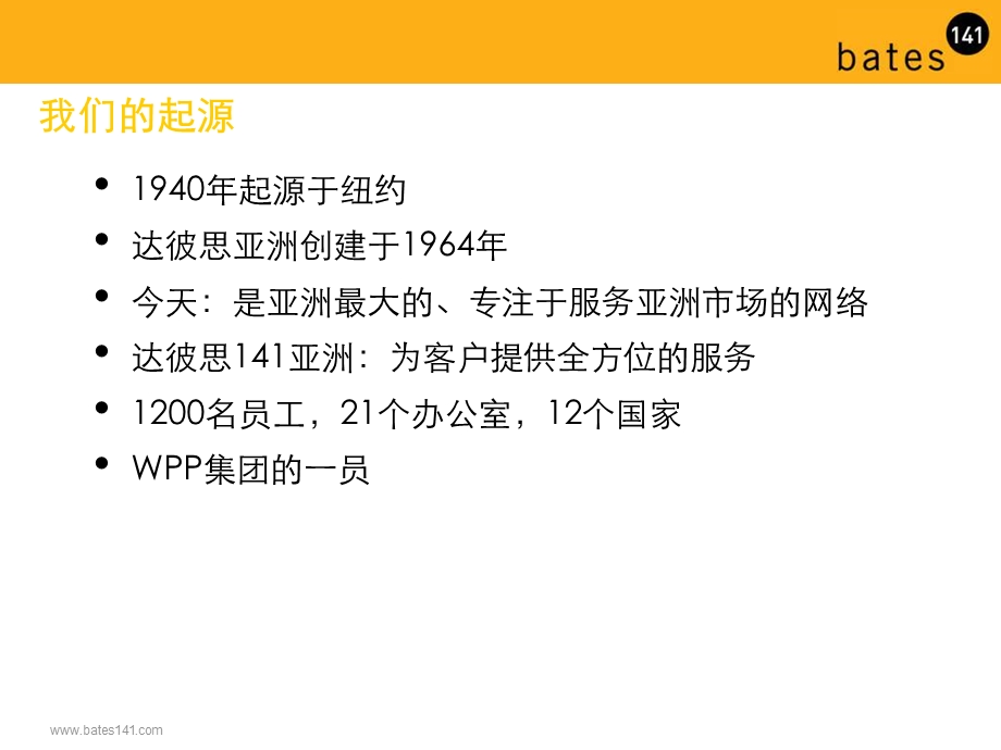 达彼思141公司简介.ppt_第3页