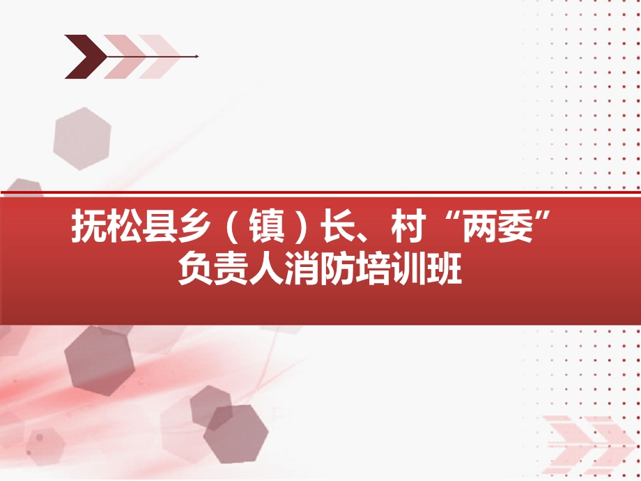 乡镇消防培训.ppt.ppt_第1页