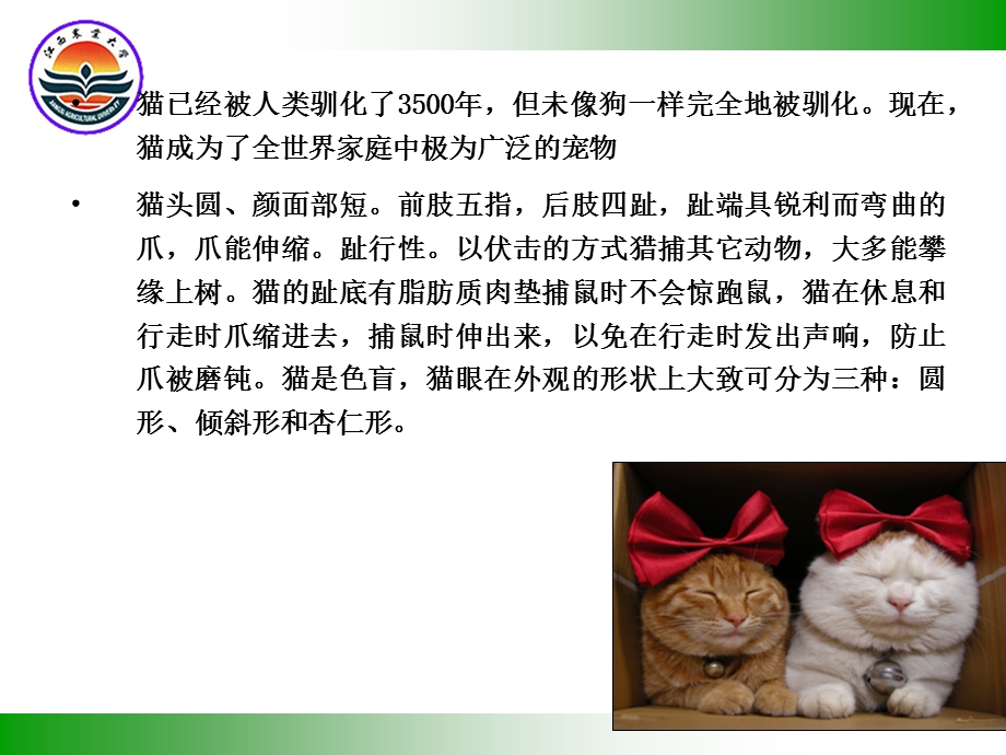 9猫的生活习性和生理特点.ppt_第2页