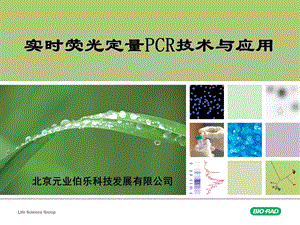 实时荧光定量PCR技术与应用.ppt