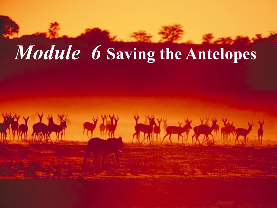 [高中教育]高中英语说课Module6 Saving the Antelopes.ppt_第1页