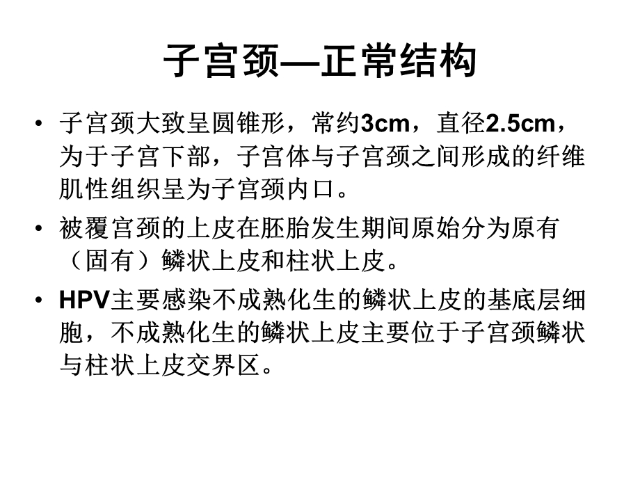 宫颈组织病理诊断.ppt_第2页