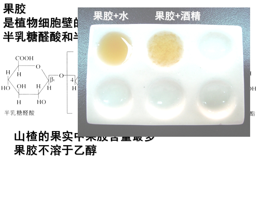 高三生物选修一果汁中的果胶和果胶酶.ppt.ppt_第3页